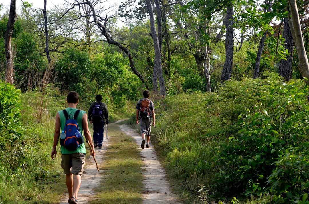 Banke National Park