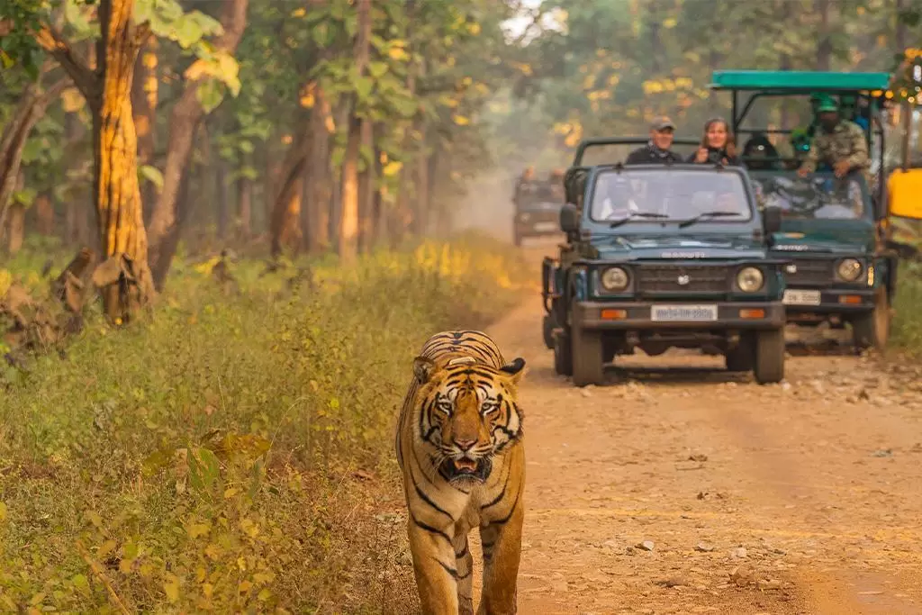 Bardiya National Park