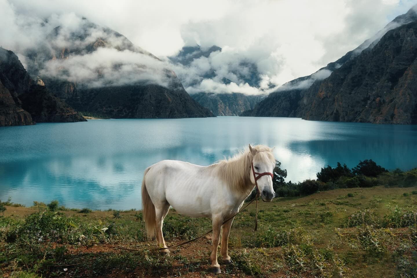Shey Phoksundo Lake