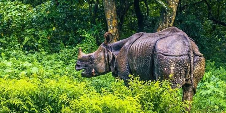 Parsa National Park