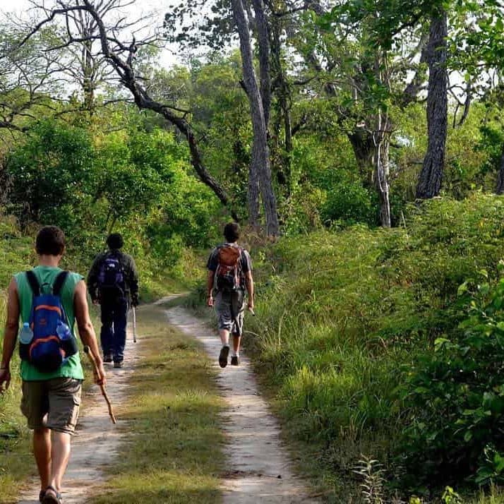 Bardia Jungle Safari Tour Package 1 edited